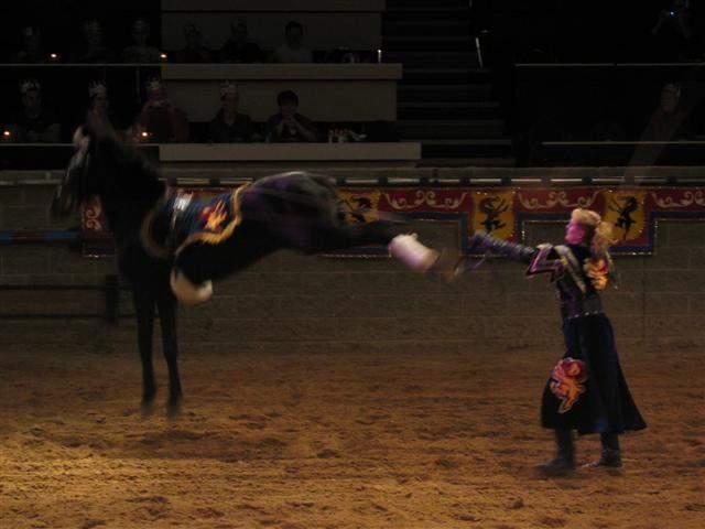 Medieval Times - Shannons 23rd Bday 34.JPG